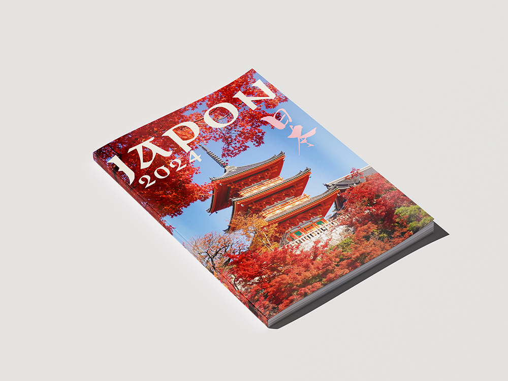 Kyoto in Autumn